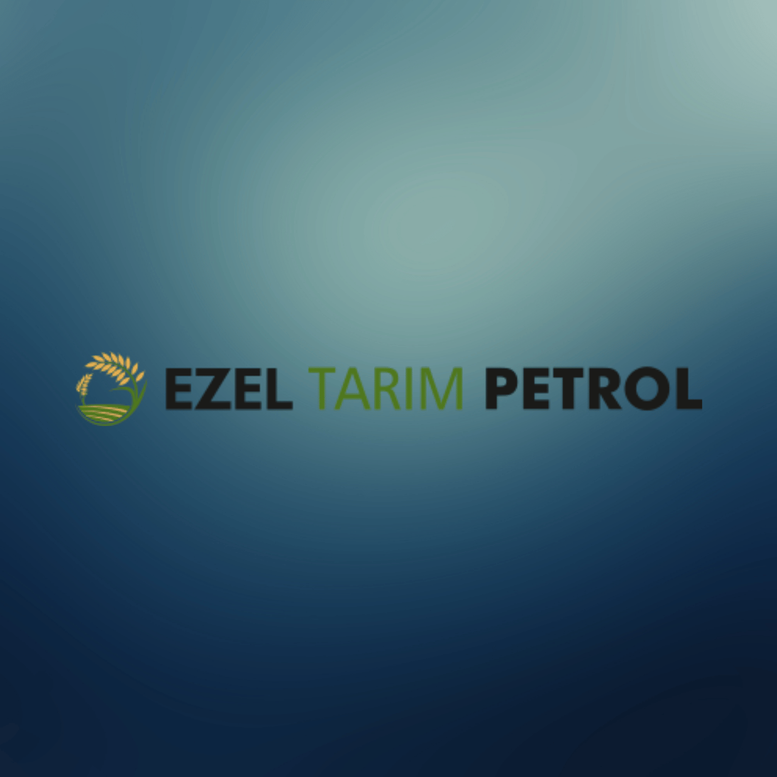 Ezel Tarım Petrol Web Tasarım